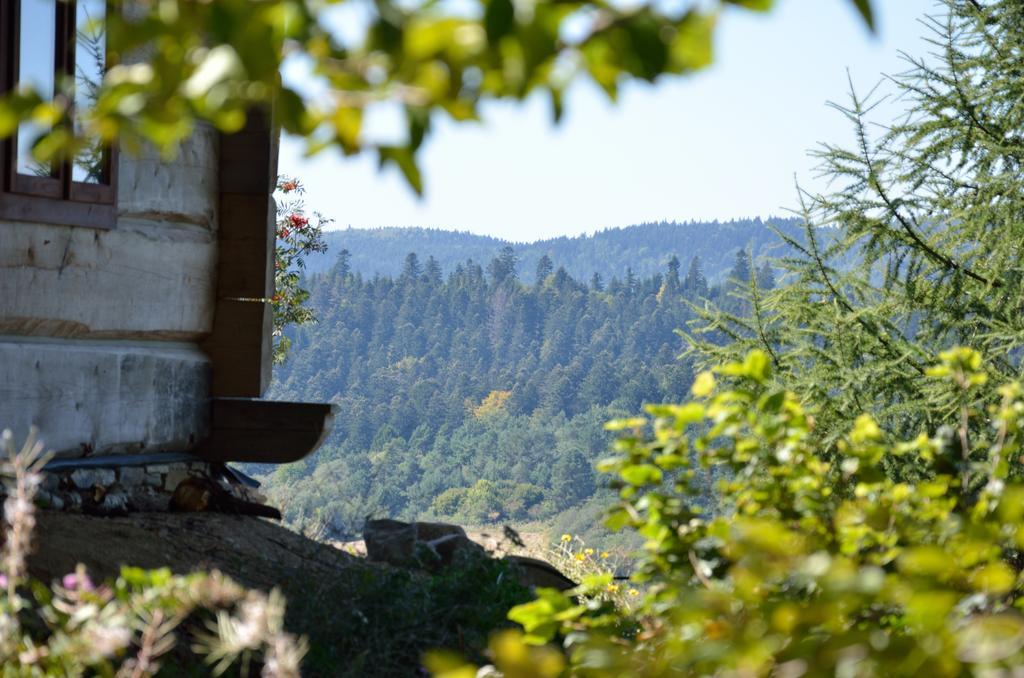 Schronisko Gorskie Nad Smolnikiem Smolnik  Exterior foto